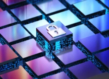 Website Security Website Security