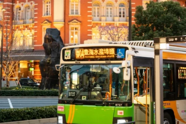 Professional Web Design Melbourne